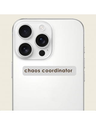 Картинка Об'ємний стікер "Chaos coordinator"